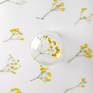 Autocollants de fleurs séchées de Gypsophila paniculata véritable, pour bijoux floraux, ongles, Fête des Mères, Pâques, Noël - Product Image 3