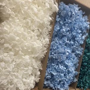 Vente en gros de 100g de pétales d'hortensia en bois de haute qualité, blancs et bleus, préservés, pour la Saint-Valentin et Noël - Product Image 2