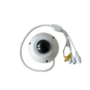 Insanlar için 5MP WizMind balıkgözü ağ kamerası DH-IPC-EB5541P-AS ısı haritası anormallik algılama sayma - Product Image 6