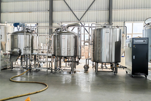 Equipo de Cervecería Artesanal Tonsen 500L 5HL, Kit de Elaboración de Cerveza, Microcervecería Completa Llave en Mano en Venta - Product Image 5