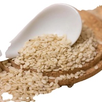 Graines de sésame blanches séchées en gros, graines de sésame biologiques