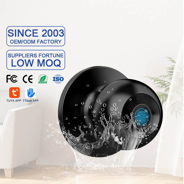 Factory Price Tuya Smart Aluminum & Wood Door Fingerprint APP for Unlock Electronic Biometric Door Lock