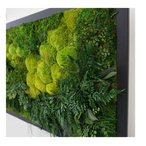 Marco de Arte de pared de musgo conservado personalizado <span class=keywords><strong>Hor</strong></span> decoración del hogar Decoración de Navidad - Product Image 4