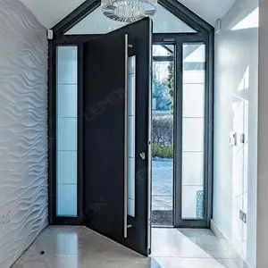 Hurricane resistant customize black mirror stainless steel panel triangular roof entrance front security pivot door system