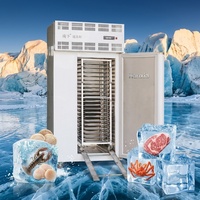 H65 Commerciële Vriesmachine Ultra-Lage Temperatuur Enkele Deur Ontploffingsvriezer Van Iqf Tunnelvriezer Bevroren Groenten Zeevruchten