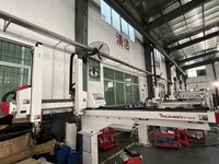 Robot de palettisation de haute précision Runma pour machine de moulage par injection, manipulateur 3 axes entièrement automatique, modèle RG900WS-S3, capacité maximale de 5 kg