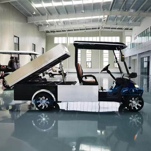 Offre Spéciale : Voiturettes de Golf Électriques 2 Places pour Sites Touristiques – Vente Directe Usine à Prix Abordable - Product Image 6