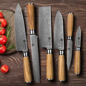 Biểu Tượng Tùy Chỉnh Cao Cấp Vg10 Damascus Thép Nhật Bản Đầu Bếp Nhà Bếp Knife Set 67 Lớp Damascus Knife Set Cho Nhà Bếp