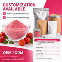 Additif alimentaire Longbio pour boissons, 25% de vitamine C, poudre de jus de cerise Acerola