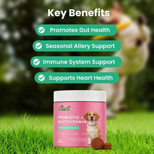 Probiotiques pour chiens OEM ODM Private Label avec prébiotiques favorisant un microbiome intestinal équilibré - Renforce la santé immunitaire - Friandises à mâcher molles - Product Image 2