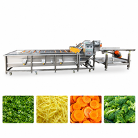 Volledig automatische industriële waslijn voor wortel- en bladgroenten/lijn voor de productie van diepvriesfruit en -groenten