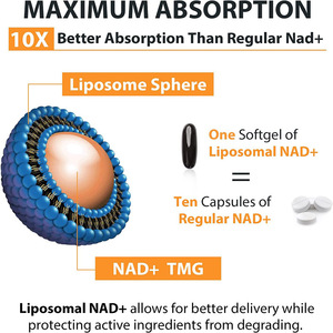 Cápsulas Blandas de NAD Liposomal OEM, 60 Unidades, 500 mg de NAD+ con TMG 250 mg, Suplemento Dietético para Apoyar la Salud Celular, Mejorar la Energía y la Reparación del ADN - Product Image 5