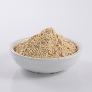 Poudre d'ail de qualité alimentaire, ingrédient d'ail déshydraté pour l'assaisonnement et l'utilisation alimentaire industrielle - Product Image 5