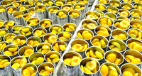 China Directe Aanvoer Premium Natuurlijk Zoet Diepvries Fruit IQF Dobbelstenen/Halves Abrikoos voor Groothandel