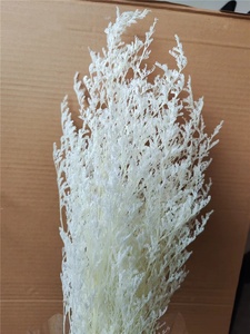 Limonium cỏ khô màu hồng trang trí tự nhiên limonium cỏ màu xanh Statice Bảo quản limonium Cỏ khô hoa khô tẩy trắng tình yêu cỏ - Product Image 6