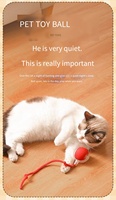 Jouet pour chat Kangdarpet, balle électrique intelligente à roulement automatique |   Jouet interactif rechargeable avec son d'oiseau et ficelle