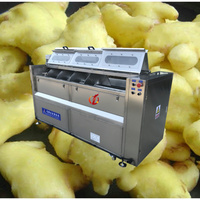 Industriële was- en schilmachine voor zoete aardappelen, reinigingsmachine, schilmachine voor zoete aardappelen