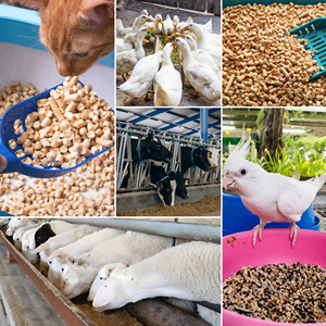 Poudre de Pancreatine en Gros CAS 8049-47-6 Suppléments d'Enzymes Pancréatiques de Haute Pureté pour Chiens - Product Image 3