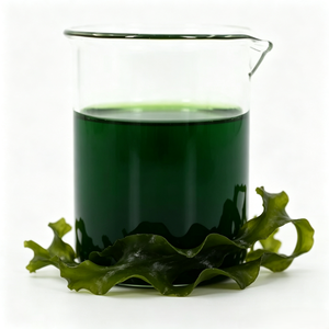 <span class=keywords><strong>Engrais</strong></span> foliaire organique <span class=keywords><strong>liquide</strong></span> soluble dans l'eau à base d'extrait d'algues marines <span class=keywords><strong>pour</strong></span> améliorer la qualité du sol et stimuler la croissance des plantes - Product Image 5