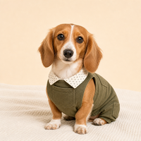 Combinaison pour chien avec col à pois, combinaison douce pour chiot, vêtements élégants pour chiens de petite et moyenne taille, tels que les Dachshunds