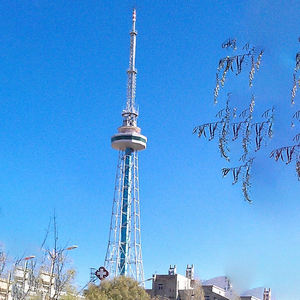 Torri di telecomunicazione ignifughe in acciaio personalizzate per irrigazione agricola, sicurezza carceraria e torri di guardia antincendio - Product Image 3