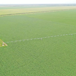 Sistema inteligente de riego por pivote central ultraeficiente que reduce la mano de obra para granjas - Product Image 5