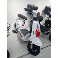 Vélo électrique avec moteur silencieux audité de 800W, suspension hydraulique avant et arrière, écran LCD intelligent, batterie au plomb-acide, vente en gros