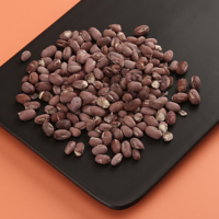 Guoyue Frijoles cocidos liofilizados a granel para comidas Gefriergetrocknete rote Bohne lyofilizovane Vegetales Frijoles rojos liofilizados