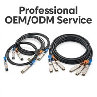 Câble DAC QSFP28 100G haute vitesse, câble Twinax en cuivre à connexion directe passive pour commutateur de centre de données 100G, 1m 2m 3m 5m