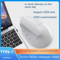 Pabrik grosir ergonomis Dual-Mode isi ulang Mouse nirkabel optik 3D gaya antarmuka USB RGB Backlit 2.4GHz tangan kanan