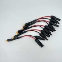 Xlpo Fil solaire en cuivre isolé Câble haute tension en PVC pour panneau solaire CC Ligne de stockage d'énergie à 2 cœurs