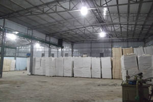 การโกนไม้สน2-15มม. สำหรับเครื่องนอนสัตว์ปีกจากเวียดนาม - Product Image 5