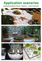 Galets naturels blancs comme neige - Pierres blanches polies et lustrées pour l'aménagement paysager, la décoration d'aquariums et le pavage de chemins