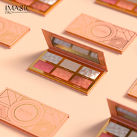 Vegan Six-colour Mix Surligneur Blush Contouring Palette Imperméable Longue Durée Poudre Logo Personnalisé Marque Privée