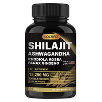 Vente en gros OEM privé Capsules de Shilajit de l'Himalaya Soutien énergétique et immunitaire amélioré Hommes et femmes 60 capsules
