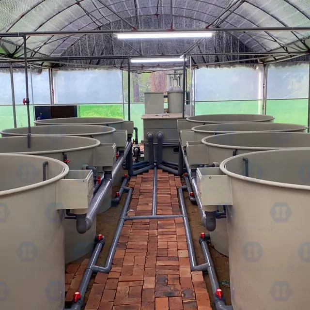 Ras Indoor Tilapia Vis Slimme Landbouw Apparatuur Aquacultuur Systeem Met Recirculerende Waterbehandeling Machines
