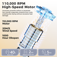 Sèche-cheveux ionique pliable à grande vitesse Binwang 100 millions d'ions négatifs pour usage hôtelier et domestique, température constante intelligente, séchage rapide