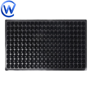 <span class=keywords><strong>Plateau</strong></span> De Semis Profond Deep 72 200 Cellule 288 Cellules 128 200 Trous Fraise Pet Plateaux de Semis Biodégradables pour Semences - Product Image 4
