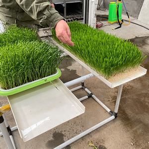 Plateau hydroponique en PVC pour serre 2024, plateau pour semences de légumes, plateau de germination pour semences - Product Image 1