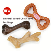 Jouets à mâcher pour chiens C4P GTT072, modernes, classiques, indestructibles, en bois naturel, saveur poulet, forme d'os, écologiques, vente en gros