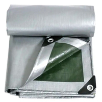 Linyi haute qualité PE bâche Poly bâche tissu feuille étanche Anti-UV enduit plaine couverture de camion tente taille Standard sac tissé