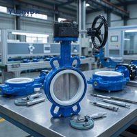 Vanne papillon manuelle à vis sans fin en fonte API609 DN50-DN200 pour raccordement Wafer PN10/16