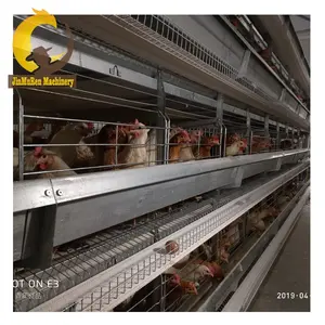 Jinreen — cage de construction de volaille entièrement automatique, cage à poulet pour le meilleur prix