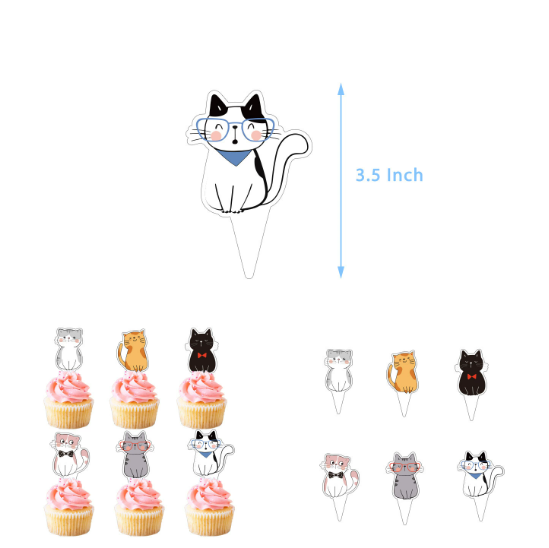 12 petites cartes à insérer