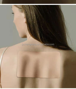 Perekrutan Global dari agen nyeri Herbal Patch Terapi magnetik analgesik Patch untuk penyakit Lumbar - Product Image 6