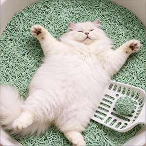 ถาดทรายแมวเต้าหู้แบบยั่งยืน กลิ่นลาเวนเดอร์ พร้อมถ่านกัมมันต์ ย่อยสลายได้ ทิ้งชักโครกได้ ไม่ติดก้อน - Product Image 1