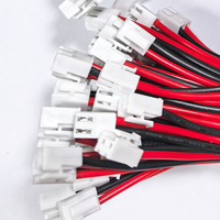 Professional Custom 2.0/2.54/3.96mm Pitch VH XH PH Terminal Connector Wire Harness 2 Pin Red Black Tin Plated Copper Jacket PVC