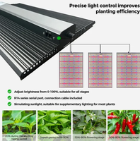 Lampe de croissance Quantum Board pour serre, LED à spectre complet, conçue pour une culture robuste des semis et une croissance végétative saine