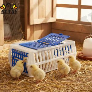 Nouveau poulailler conique à ouverture supérieure et latérale, petit poulailler de transport pour 10 à 12 poulets - Product Image 3