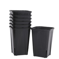 Petit Pot de fleur succulent en plastique carré noir classique bol nutritif épaissi pour la culture de plantes vertes tasse de semis